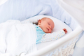 Bebeluca Ultimate Quality Foam Moses Basket Mattress with a Removable and Washable Cover