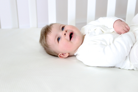 Bebeluca Essentials Premium Fibre Cot Mattress with a Removable and Washable Cover